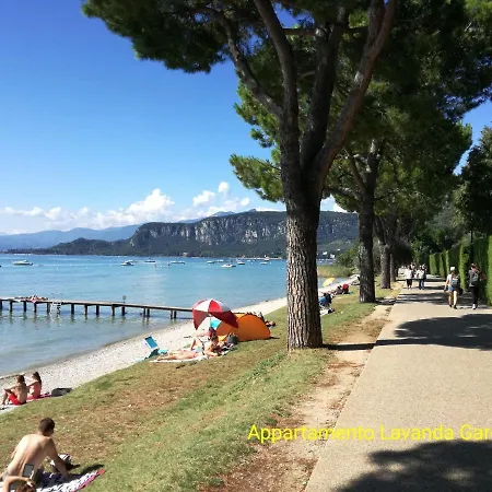 Lavanda * Garda (Verona)